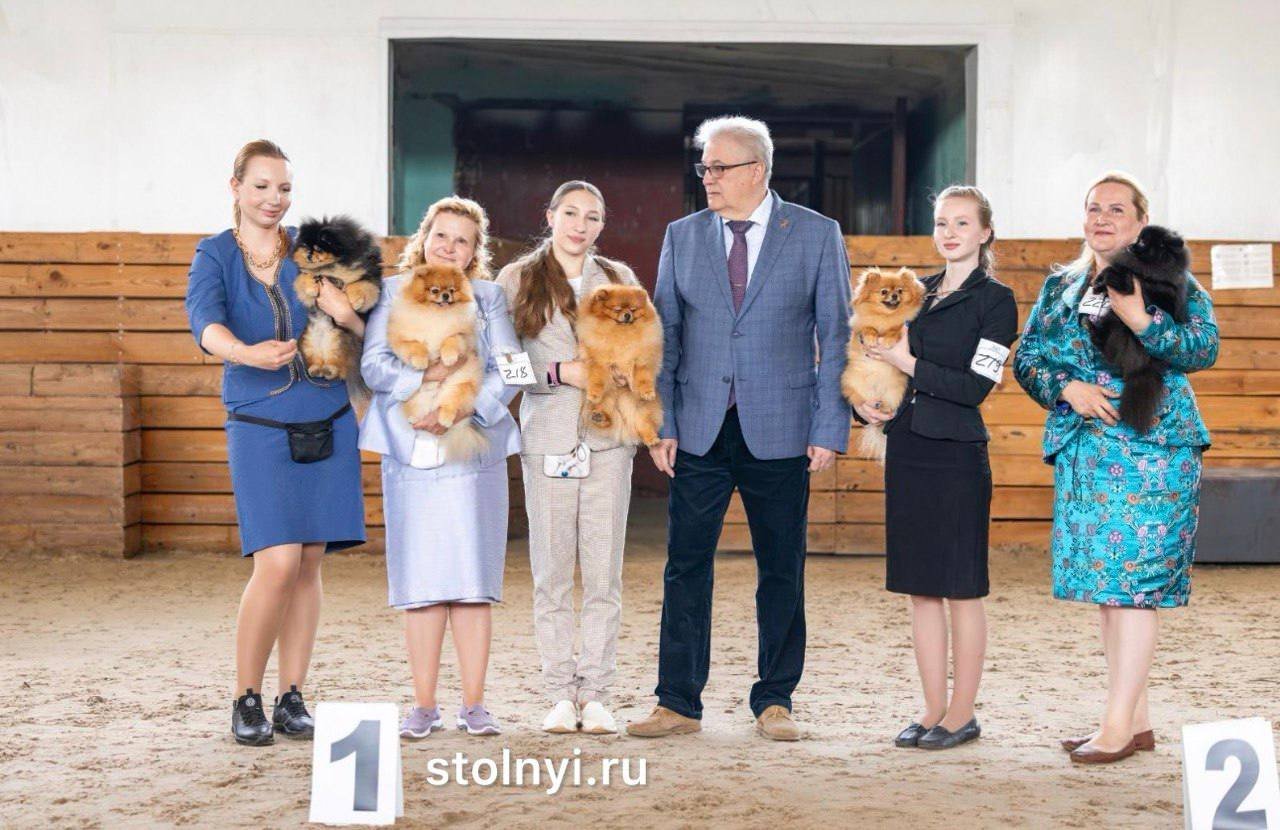 Воспитанники Stolnyi line собрали высшие награды майских выставок