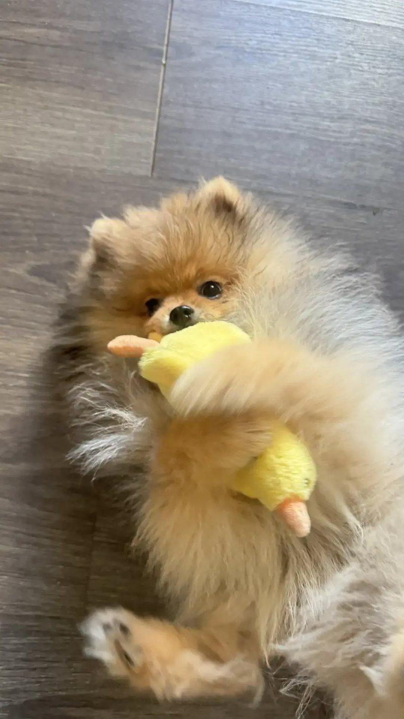 Нео