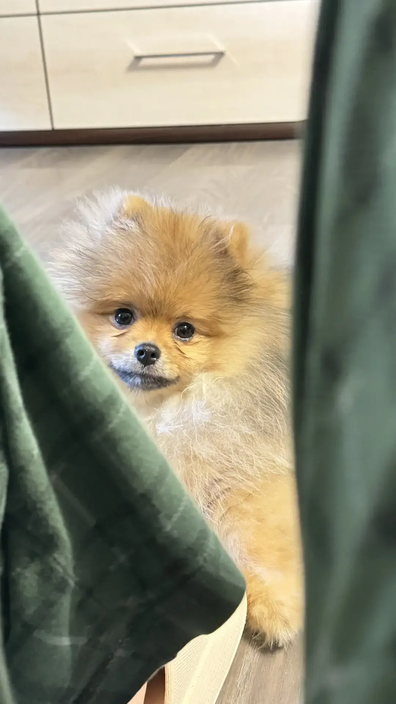 Нео