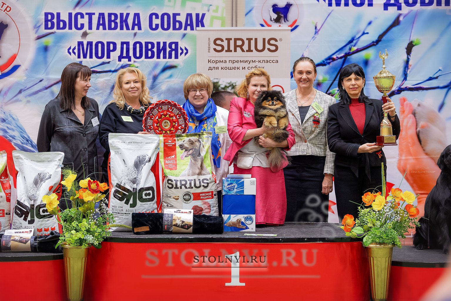Новые победы питомника Stolnyi line в Саранске