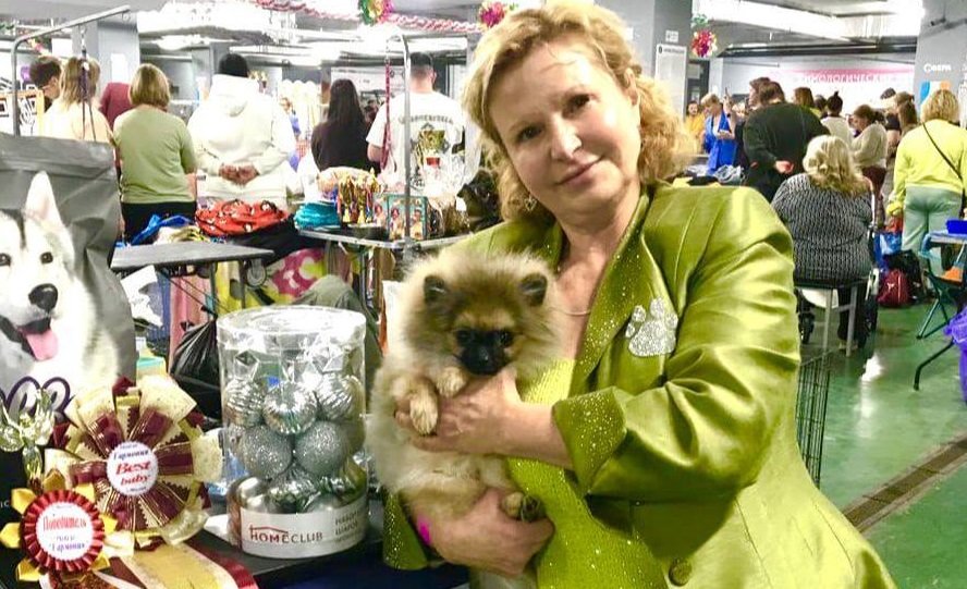 Малыш Рокки завоевал две награды на всероссийской выставке «Зимняя гармония»