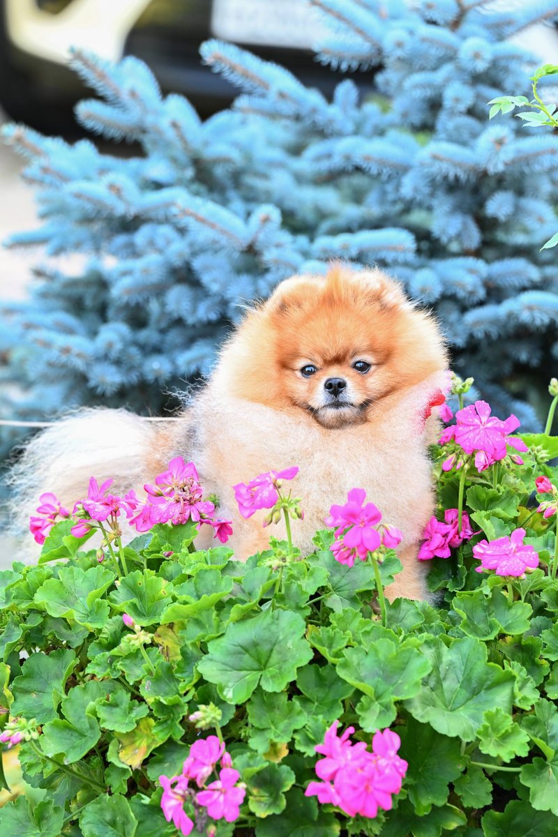 Кевин