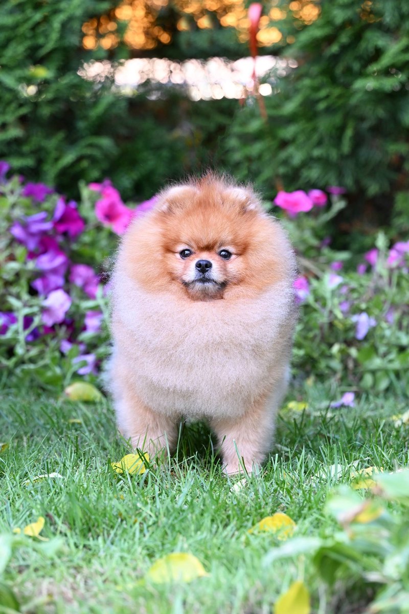 Кевин