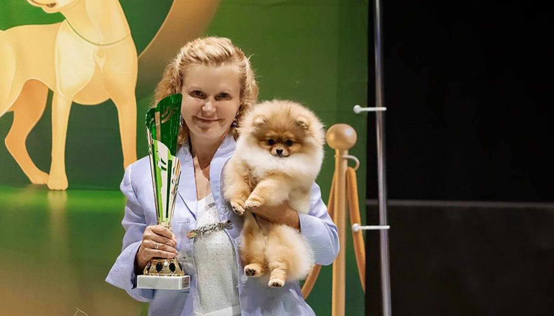 Кинг завоевал четыре титула на выставке клуба «Северная империя» в Архангельске