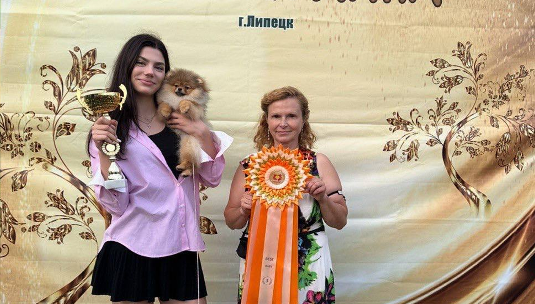 Собаки питомника Stolnyi line завоевали престижные награды на выставке «Золотая Липа» в Липецке