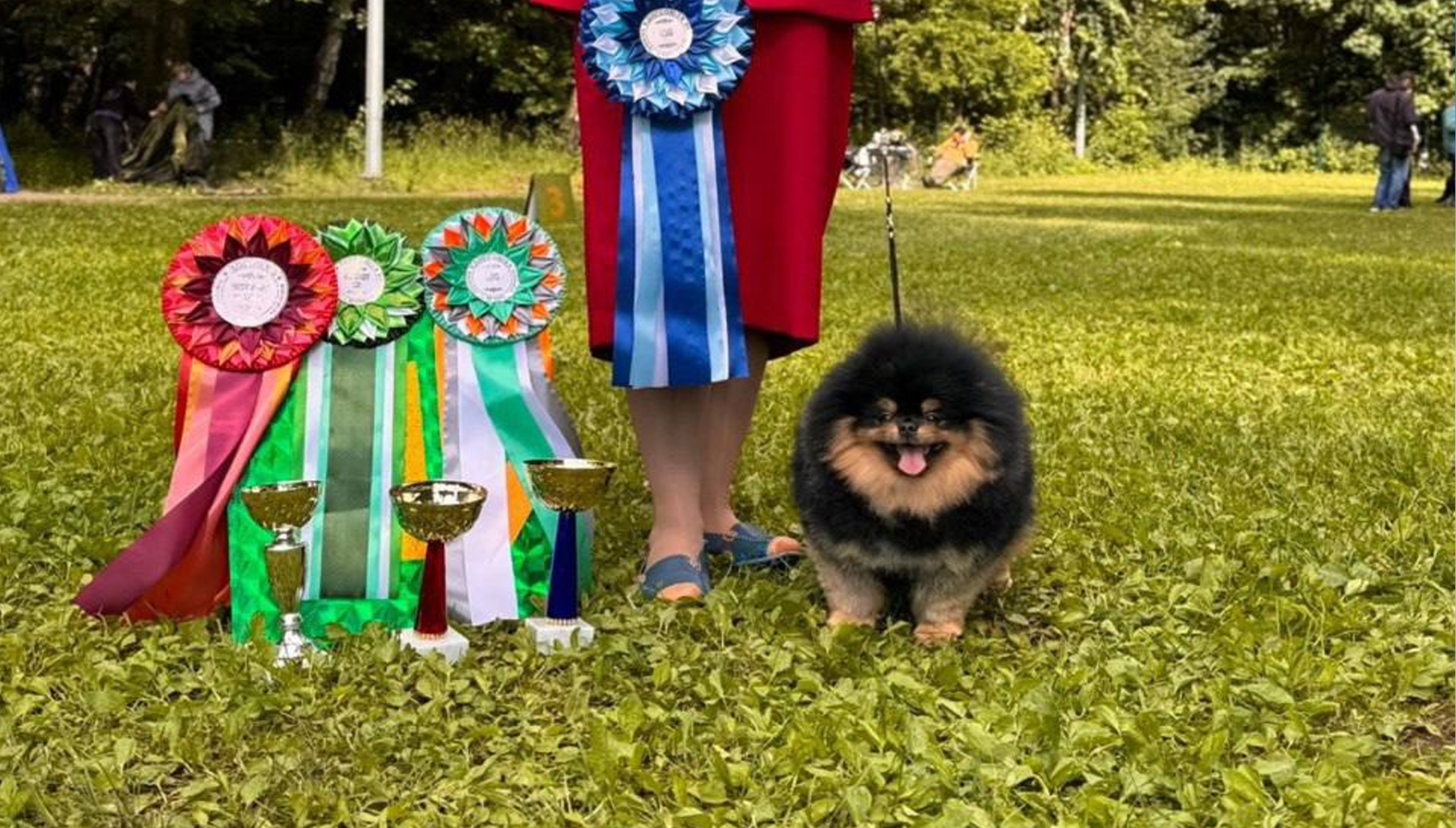 Кинг получил титул Чемпиона России