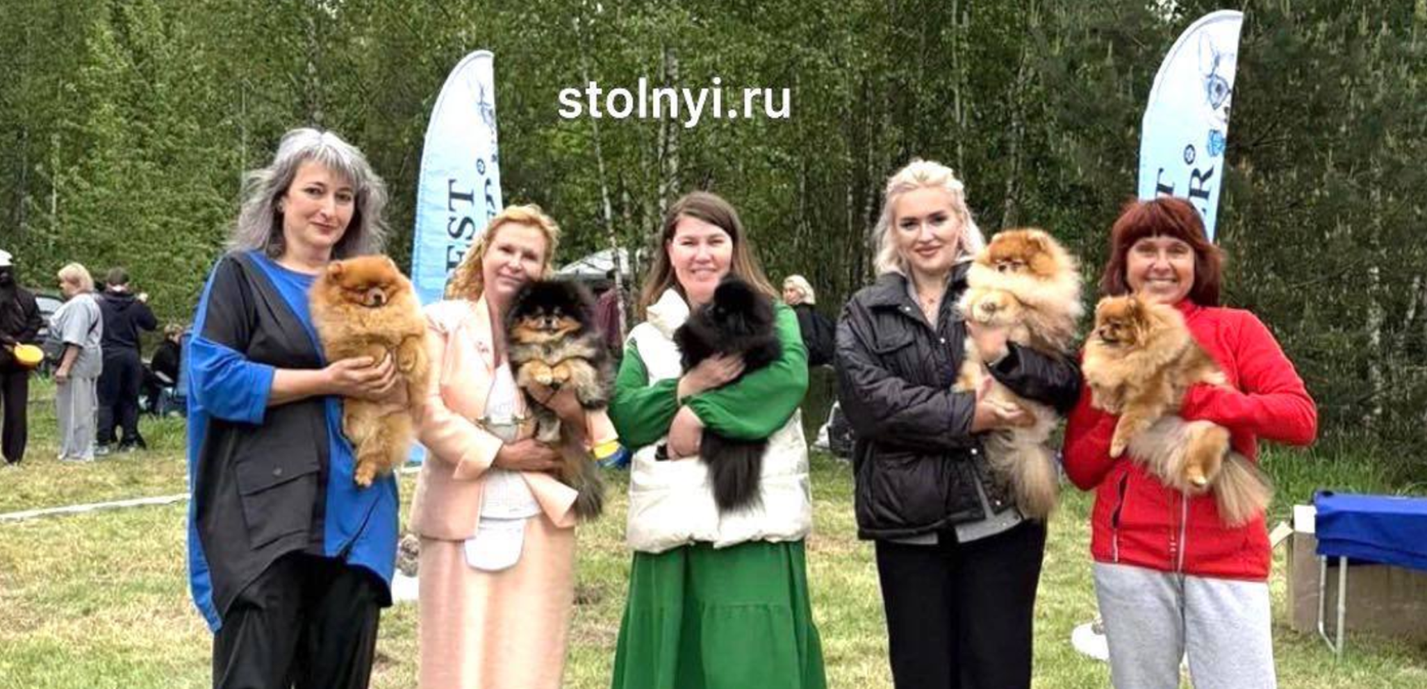 Stolnyi.ru празднует победу на выставке в Выборге