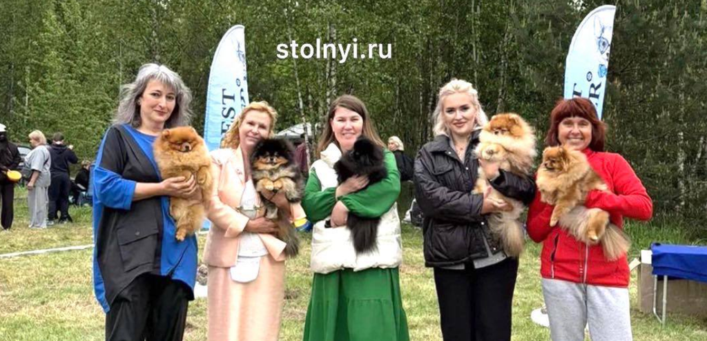 Stolnyi.ru празднует победу на выставке в Выборге