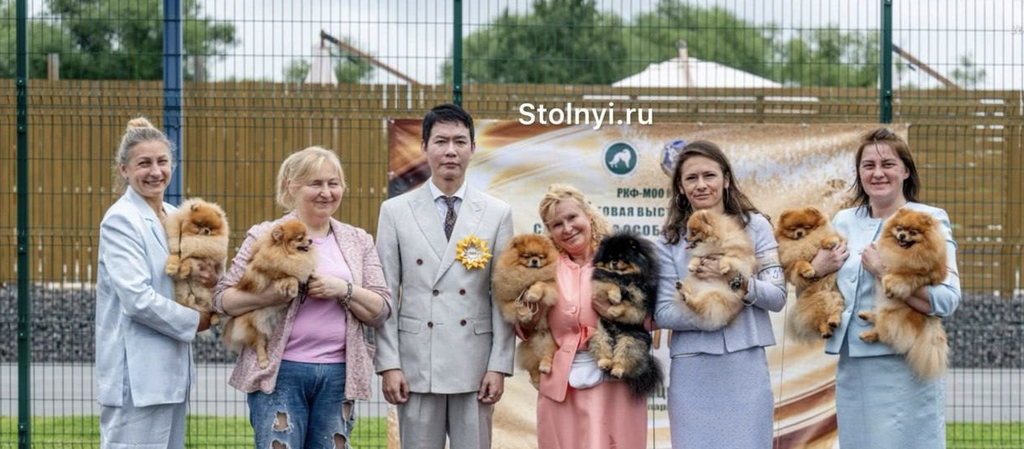 Собаки Stolnyi line получили признание экспертов из шести стран