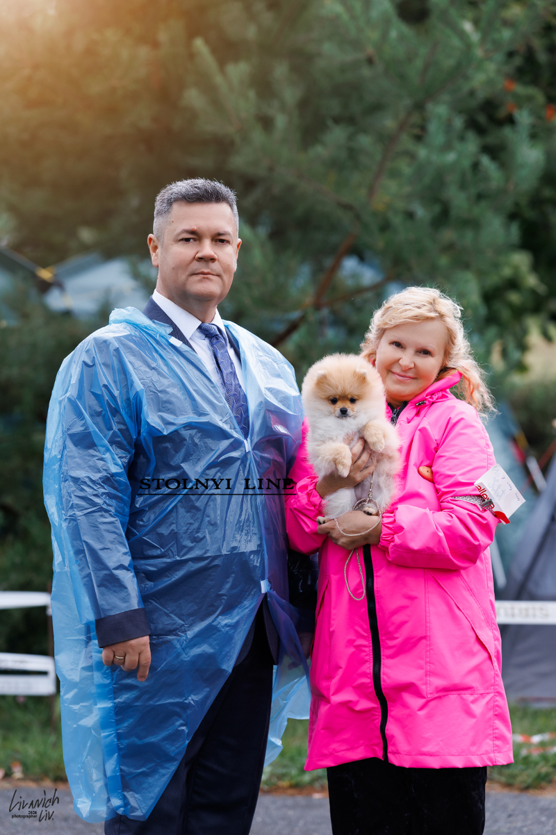 Сним