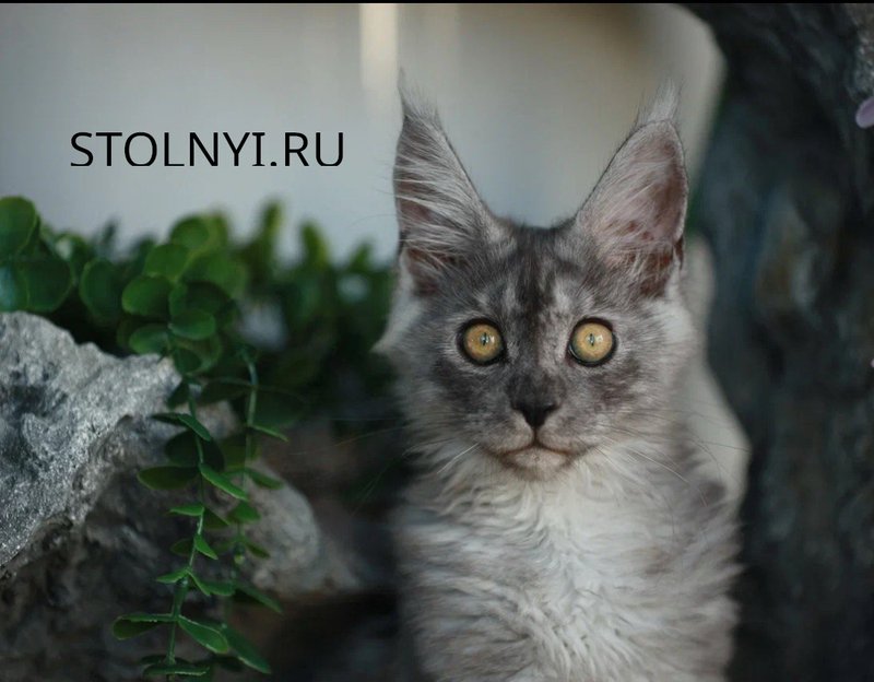 Ешка