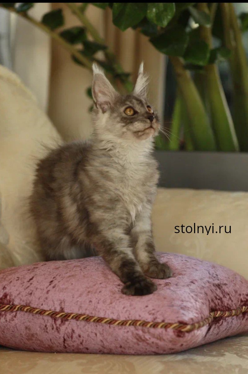 Ешка