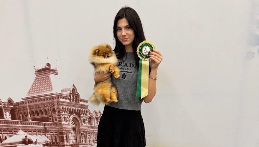 Международные эксперты присудили первые места Елке, Лоле и Кингу на выставках в Нижнем Новгороде