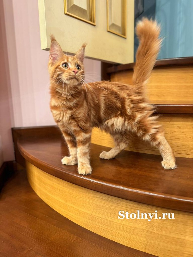 Доброе утро с нашим выпускником Фредди