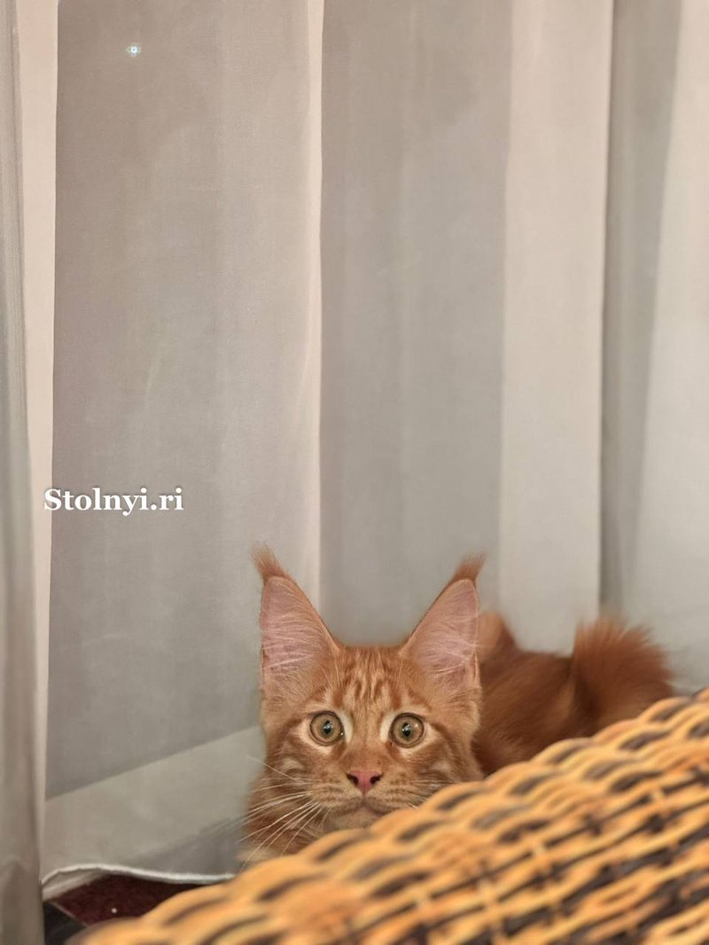 photo_2026-01-24 11.11.14