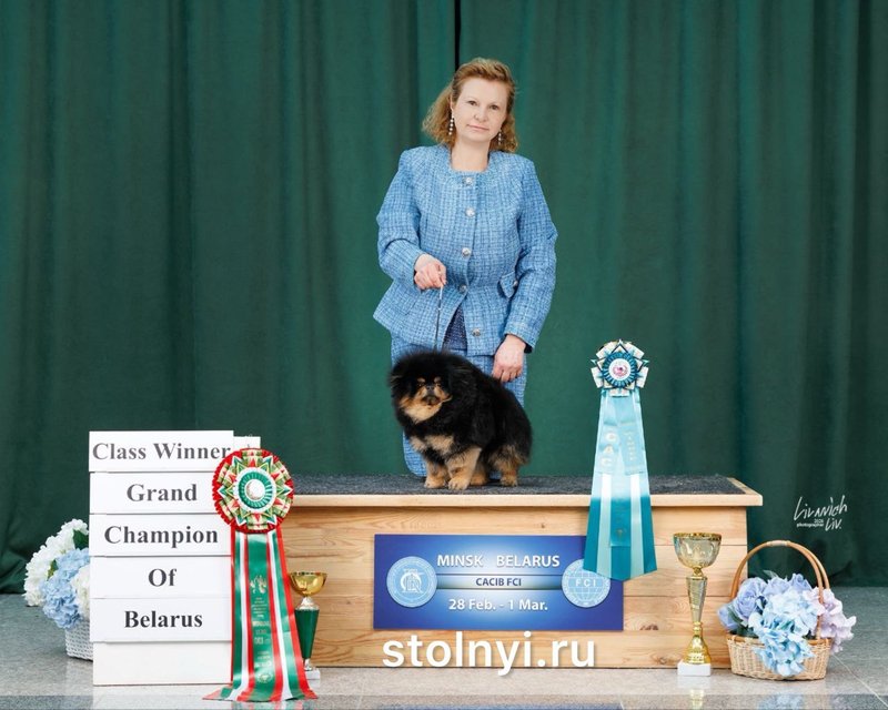 photo_2026-03-05 17.36.37