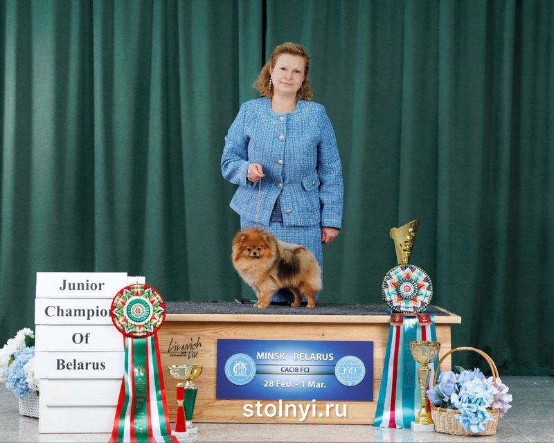 photo_2026-03-05 17.36.39