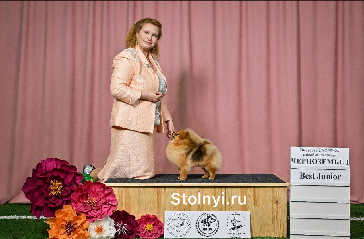 Stolnyi line в Воронеже, Лола стала Юным шоу чемпионом