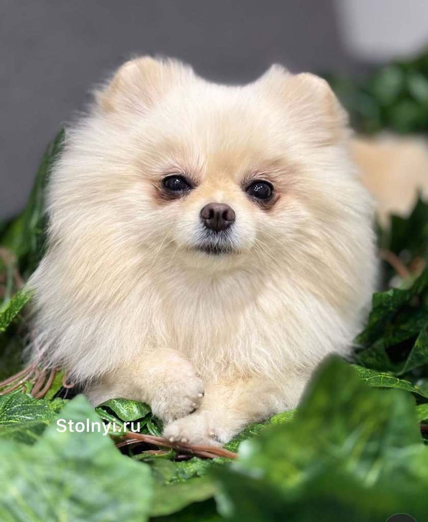 Наша Умочка❤️