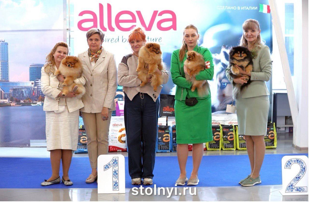 Команда Stolnyi Line завоевала главные награды на выставке в Екатеринбурге