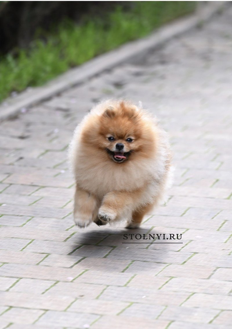 Кевин