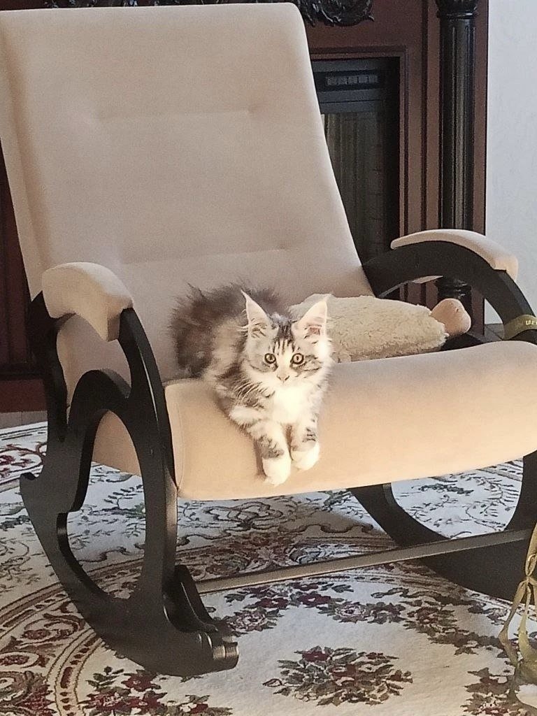 Холли